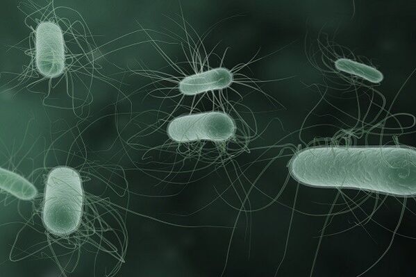 Heyecanlandığında patolojik deşarja neden olan mikroorganizmalar